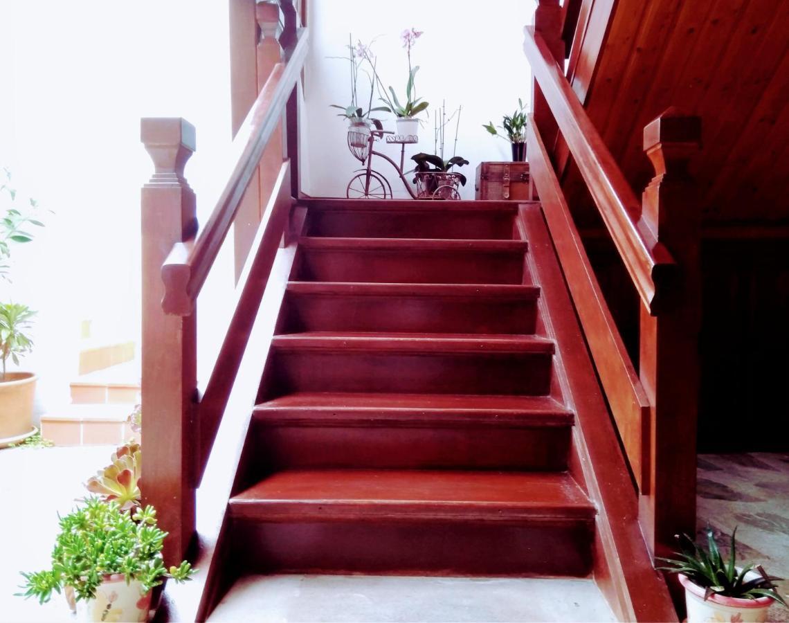 Casa Rural Los Helechos Agulo المظهر الخارجي الصورة